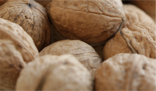 JOJOBA OIL