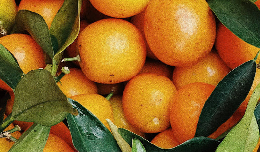VIT C