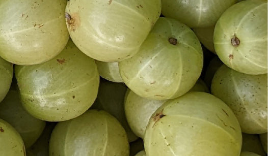 INDIAN GOOSEBERRY