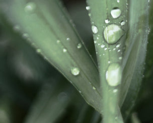 Why choose MGC Derma?